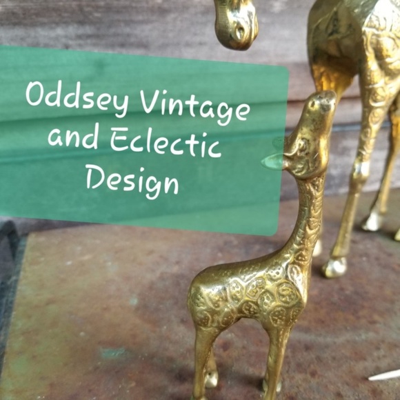 Meet your Posher, Racheal - Picture 2 of 3